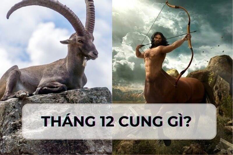 Tháng 12 cung gì? Đặc điểm về tính cách, tình yêu & sự nghiệp