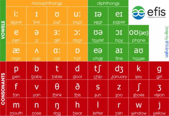 học phát âm 44 âm trong tiếng Anh