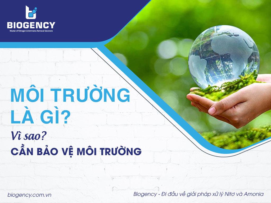 Môi trường là gì? Vì sao cần bảo vệ môi trường?