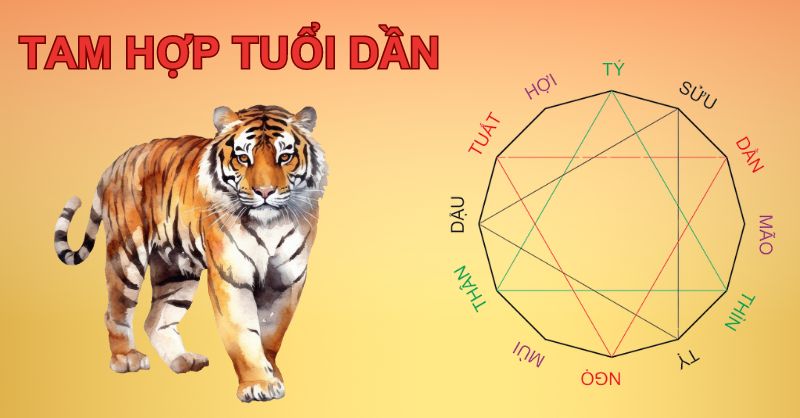 Tuổi Dần Hợp Với Tuổi Hợi Không?