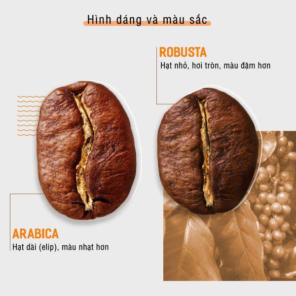 CÁCH NHẬN BIẾT HƯƠNG VỊ CÀ PHÊ ROBUSTA NGUYÊN CHẤT DỄ DÀNG NHẤT